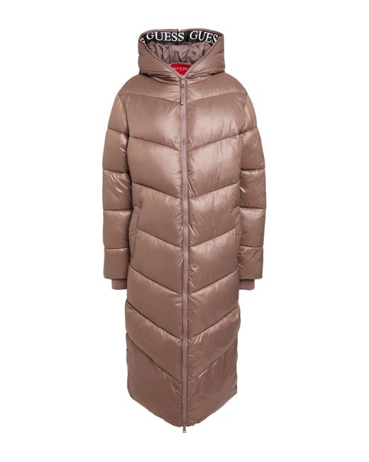 Guess Brown Puffer