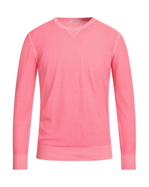 Kangra Pink Sweaters for men
