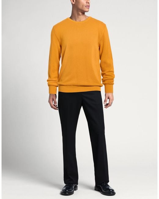 GALLIA Orange Sweater Cotton for men