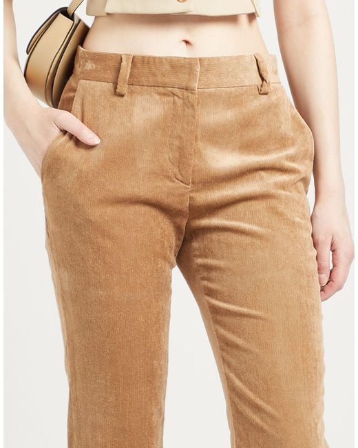 Antonelli Natural Trouser