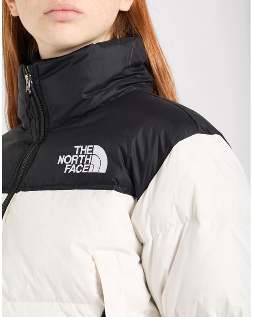 The North Face Blue Pufferjacke & Daunenjacke