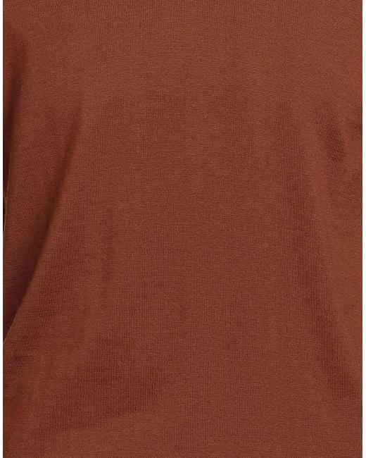 Alpha Studio Brown Jumper for men