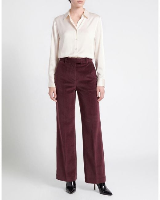 Circolo 1901 Purple Trouser