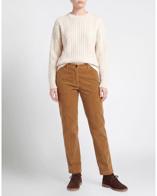 SKILLS & GENES Brown Trouser