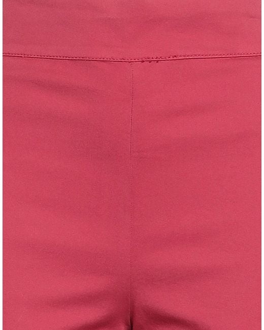 CIGALA'S Red Trouser