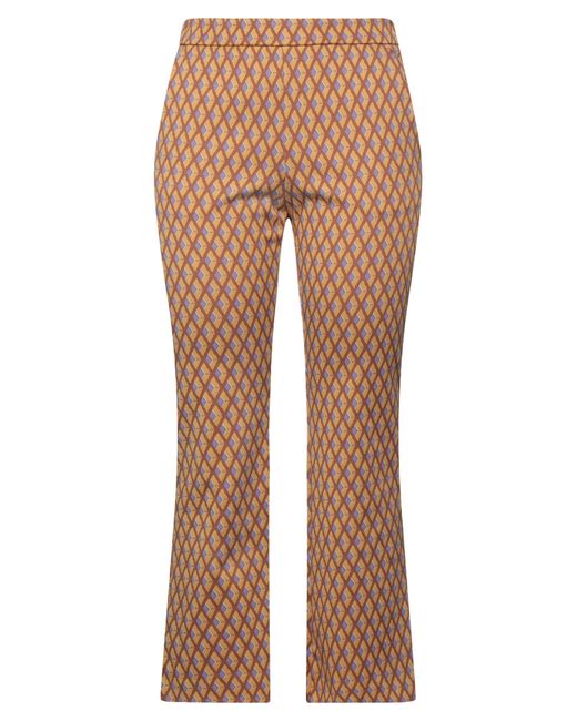 Maliparmi Brown Trouser