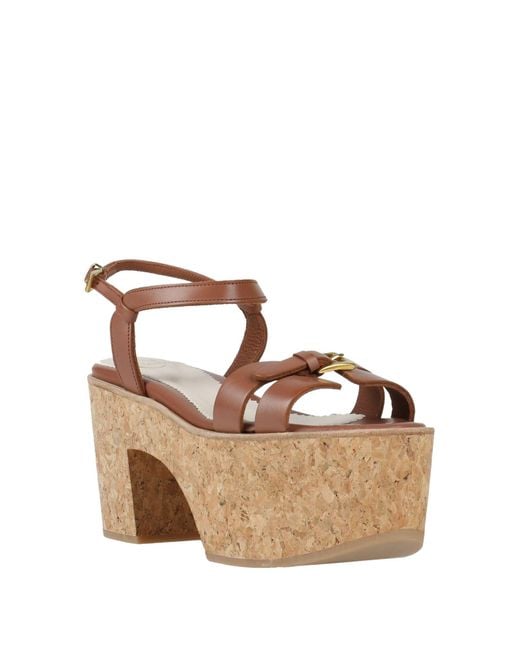 Clove Brown Mules & Clogs