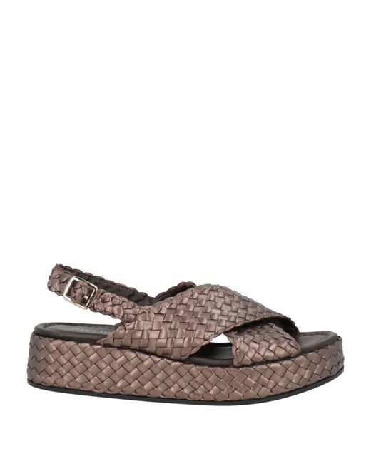 Pons Quintana Brown Sandals