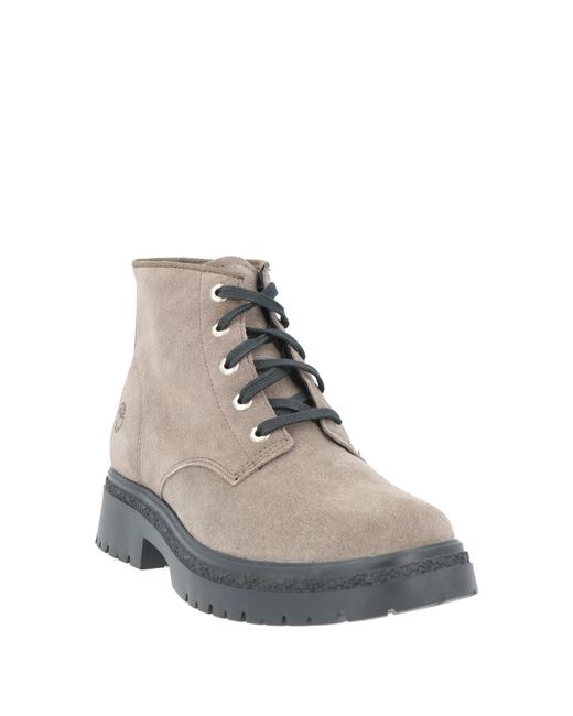 Timberland Gray Ankle Boots