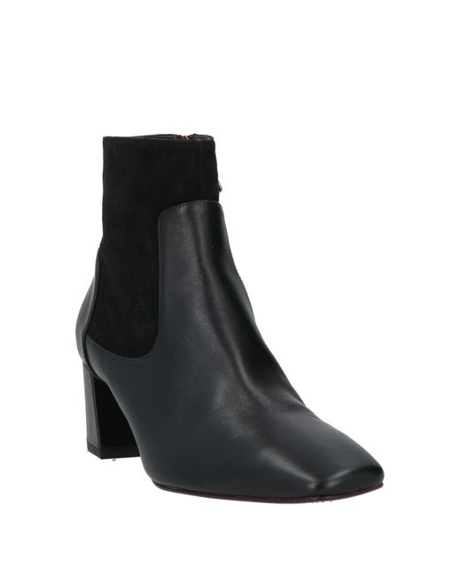 Avril Gau Black Ankle Boots