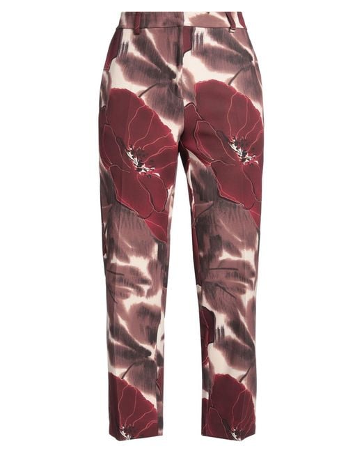 Maliparmi Red Pants
