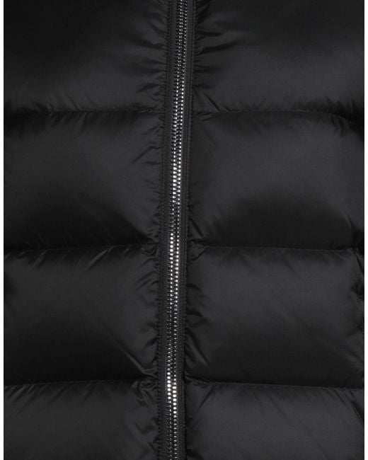 Colmar Black Puffers