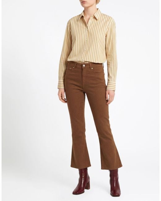 Department 5 Brown Trouser