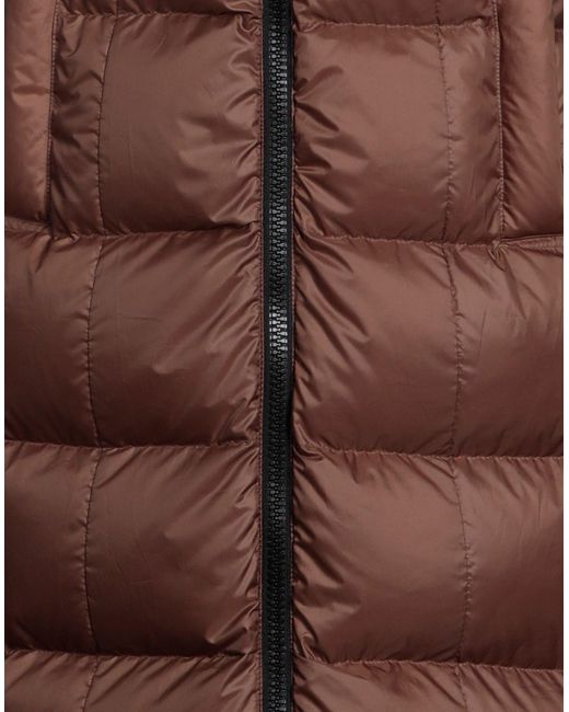 Peuterey Brown Puffer