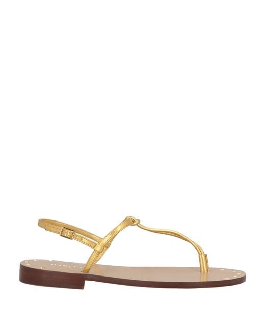 MARIA LUCA Natural Thong Sandal
