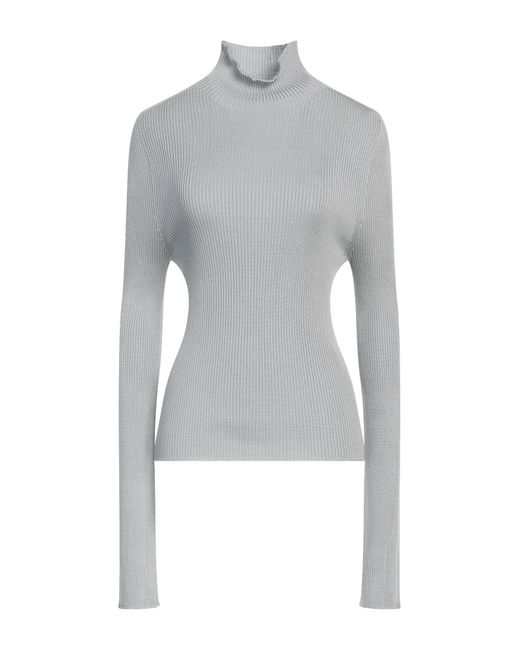 Rier Gray Turtleneck