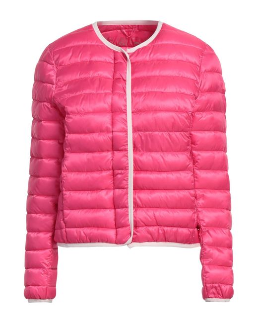 Canadian Pink Puffer