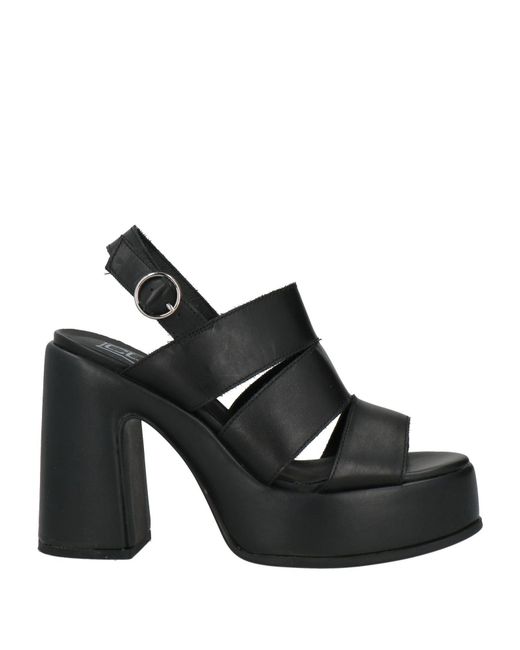 Cult Black Sandals