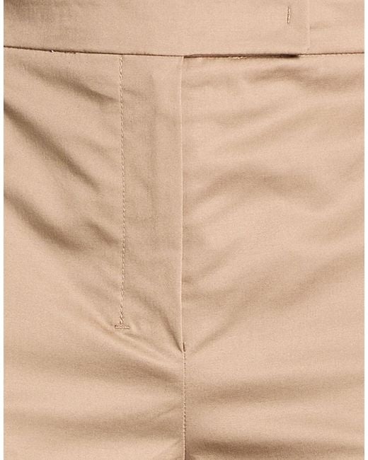 Max Mara Natural Sand Pants Cotton, Elastane