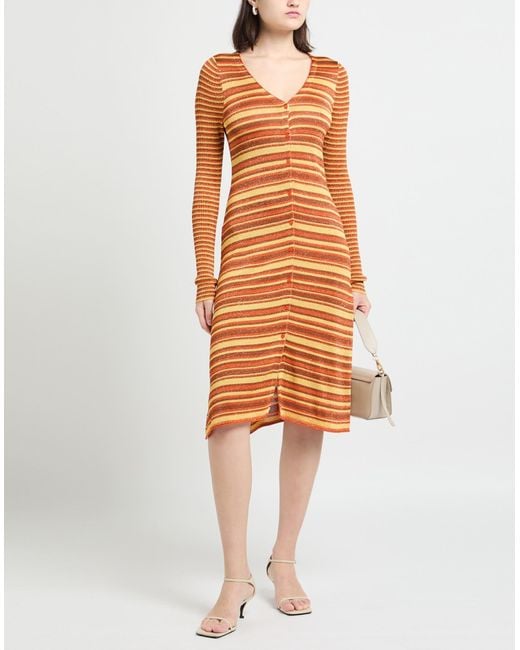 Maliparmi Orange Cardigans