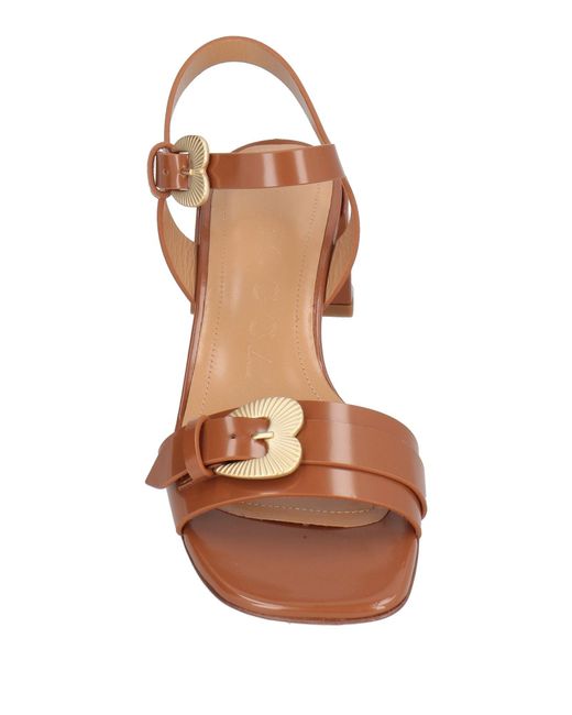 A.Bocca Brown Sandals
