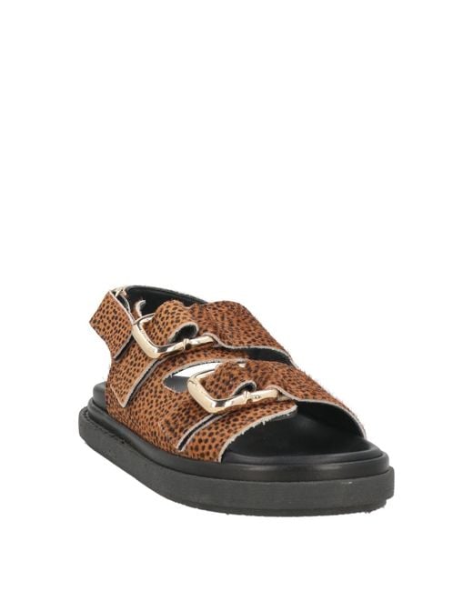 Alohas Brown Camel Sandals Leather