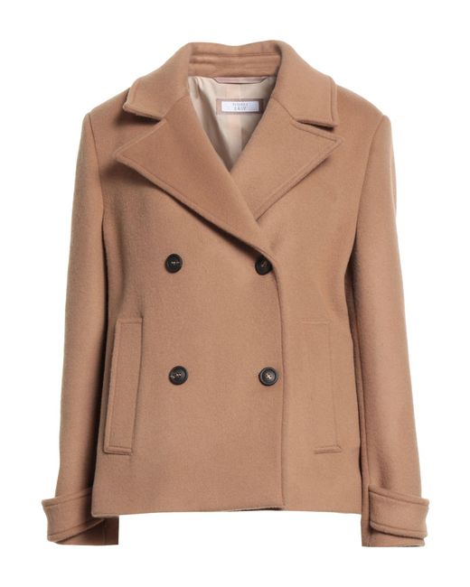 Peserico Brown Coat Wool, Polyamide