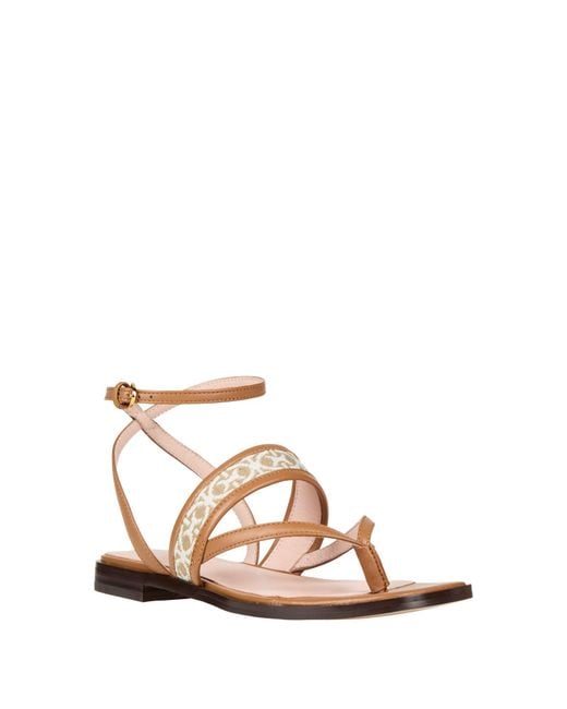 Coccinelle Multicolor Thong Sandals