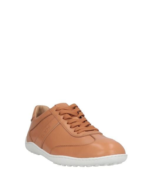Tod's Brown Sneakers Leather for men