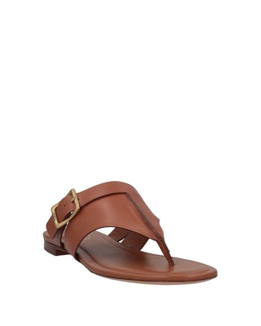 Tod's Brown Thong Sandal