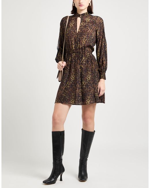 Liu Jo Brown Mini Dresses