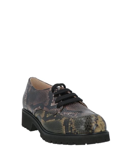 Maliparmi Gray Lace-Up Shoes