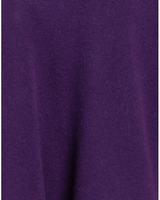 ABSOLUT CASHMERE Purple Sweater