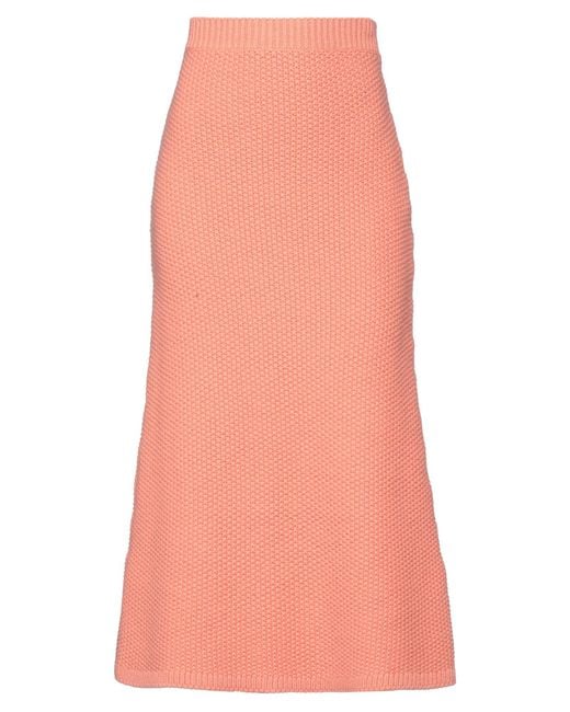 Chloé Pink Midi Skirt