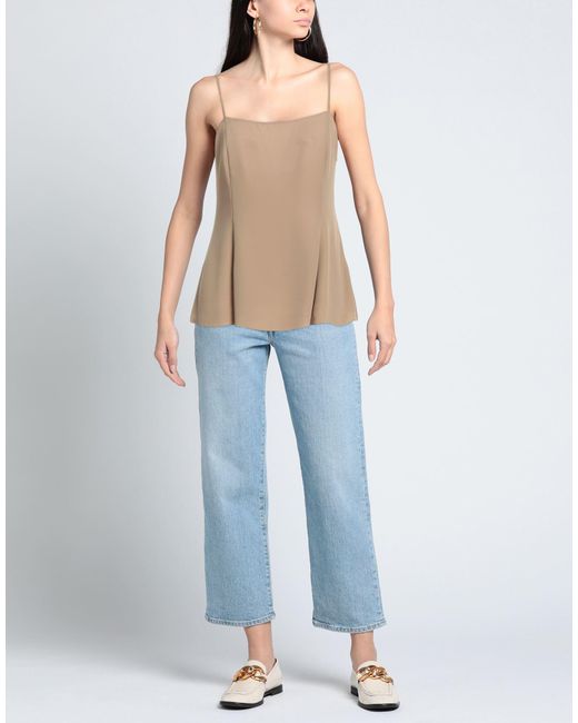 Theory Natural Top