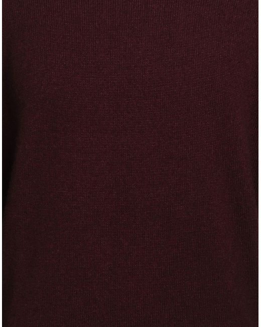 FILIPPO DE LAURENTIIS Pullover in Purple für Herren
