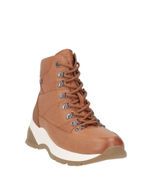 Carmela Brown Trainers