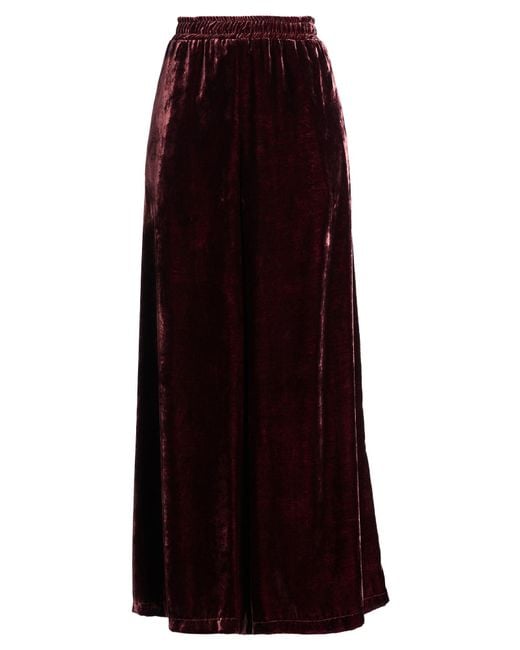 ViCOLO Purple Pants Polyester
