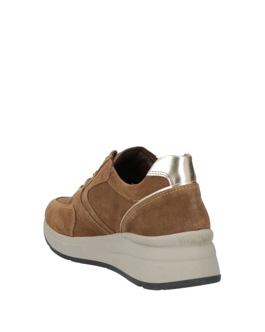 Nero Giardini Brown Sneakers