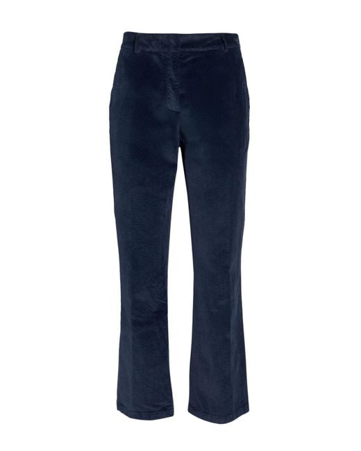 Department 5 Blue Trouser