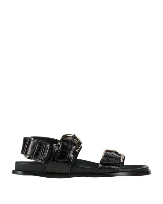 Alohas Black Sandals