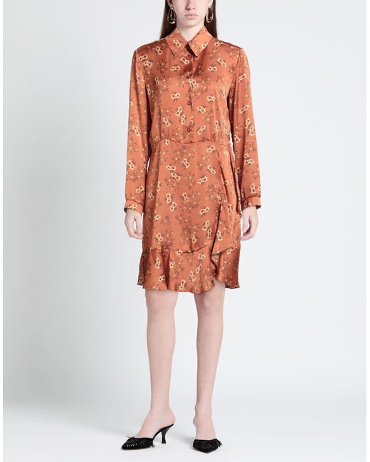 Biancoghiaccio Brown Mini Dress Polyester