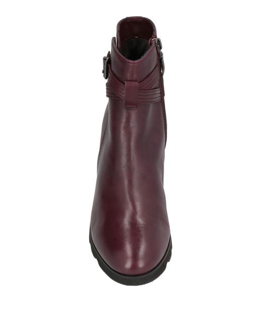 Cinzia Soft Purple Ankle Boots Leather