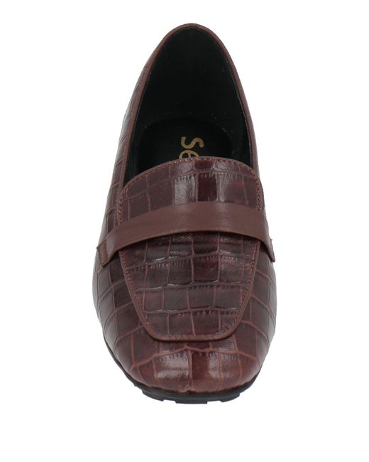SEBAS. Brown Dark Loafers Leather