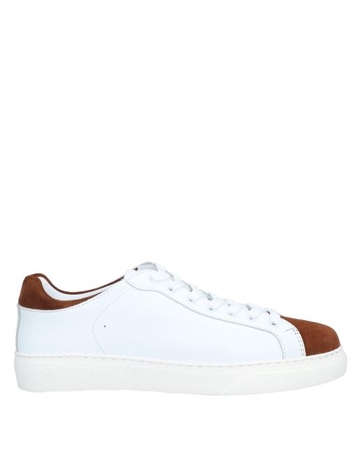 Roberto Botticelli White Trainers for men