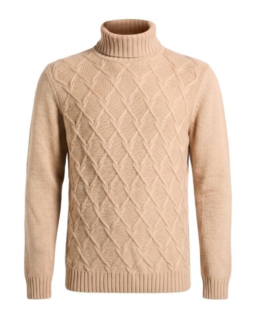 Andrea Fenzi Natural Turtleneck Wool, Viscose, Polyamide, Cashmere for men