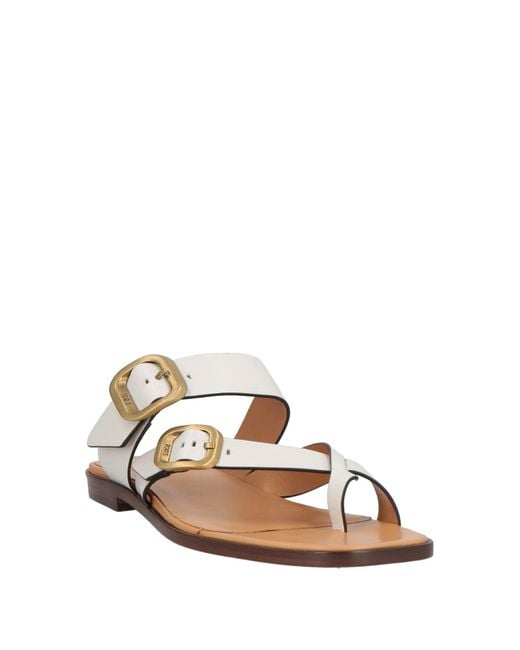 Tod's White Thong Sandal