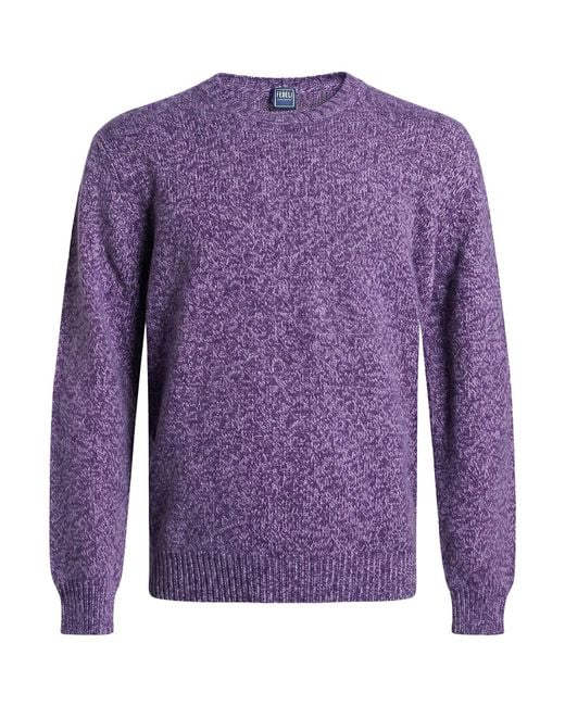 Pullover Fedeli de hombre de color Purple