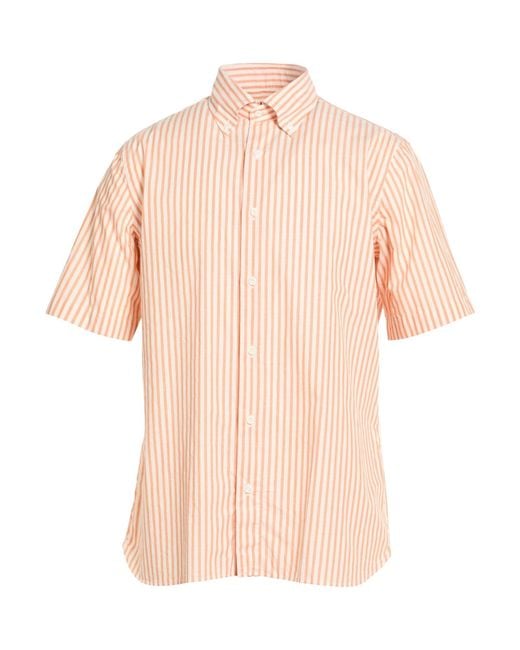 Truzzi Pink Shirt Cotton for men