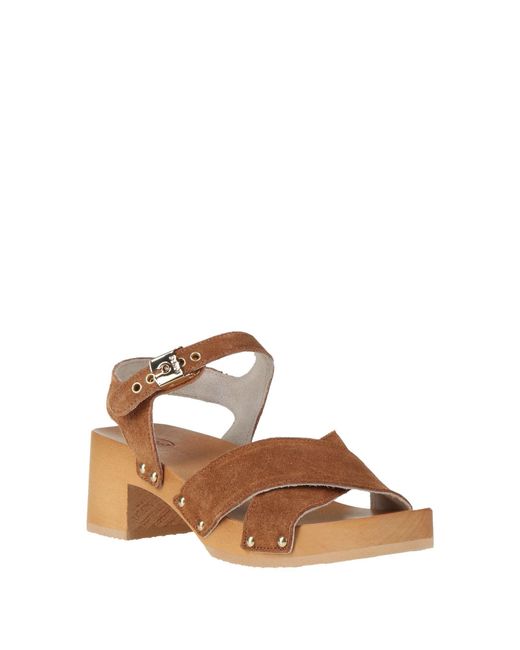 Scholl Brown Sandale
